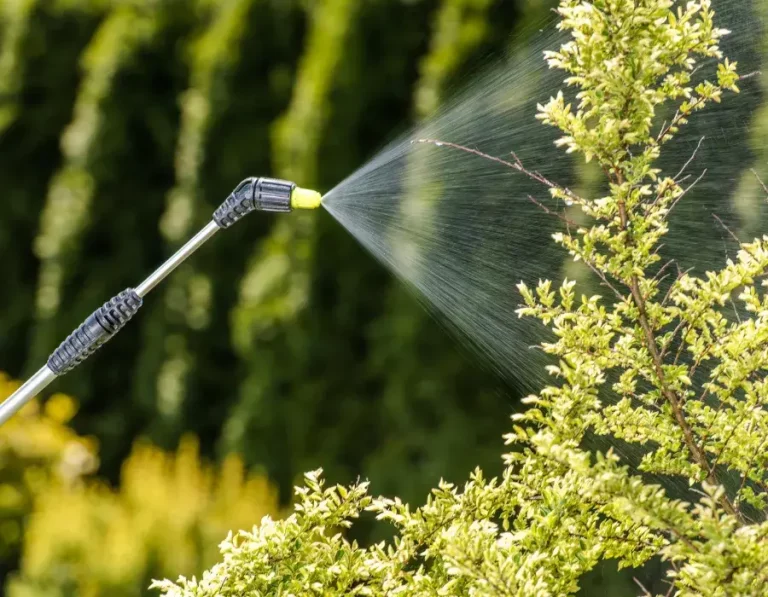 géraniol insecticide